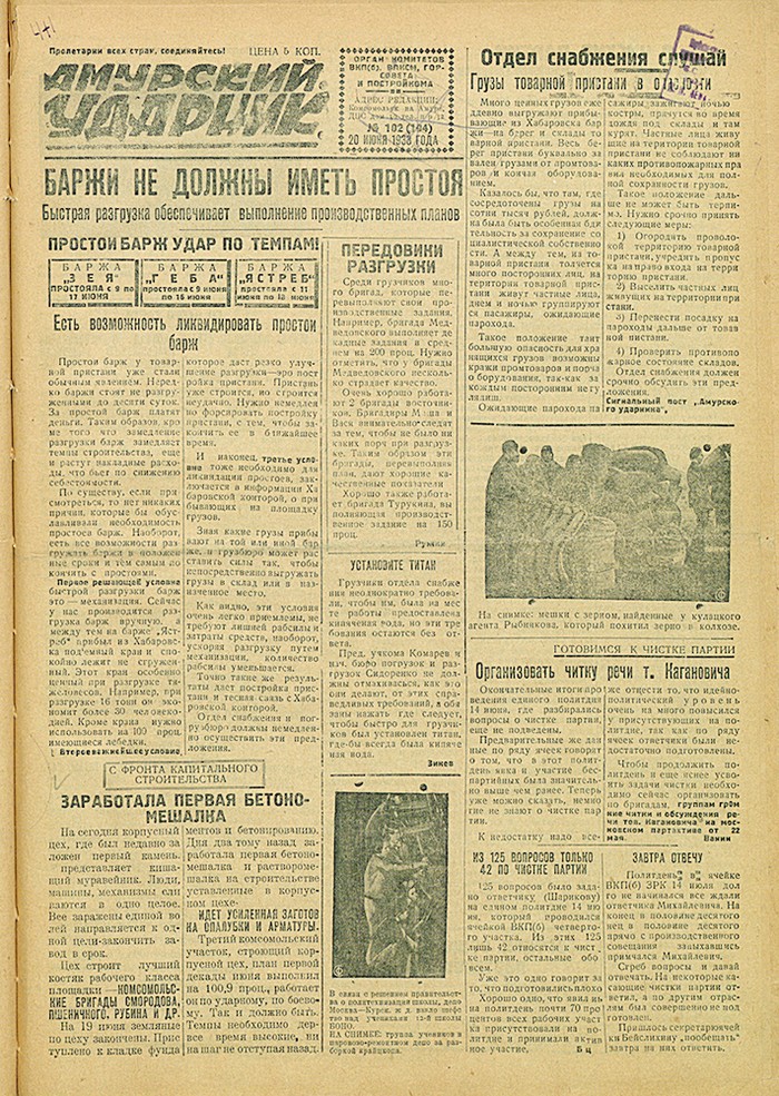 Амурский ударник 194