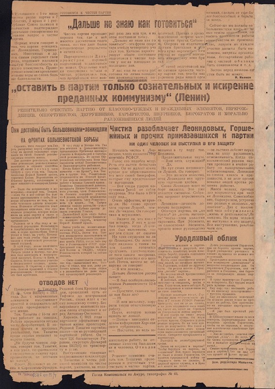 Амурский ударник 207