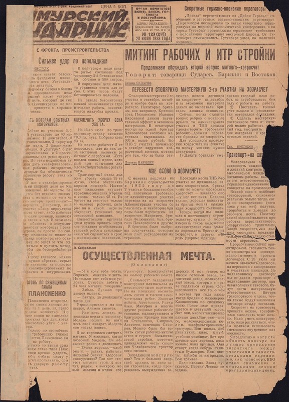 Амурский ударник 215