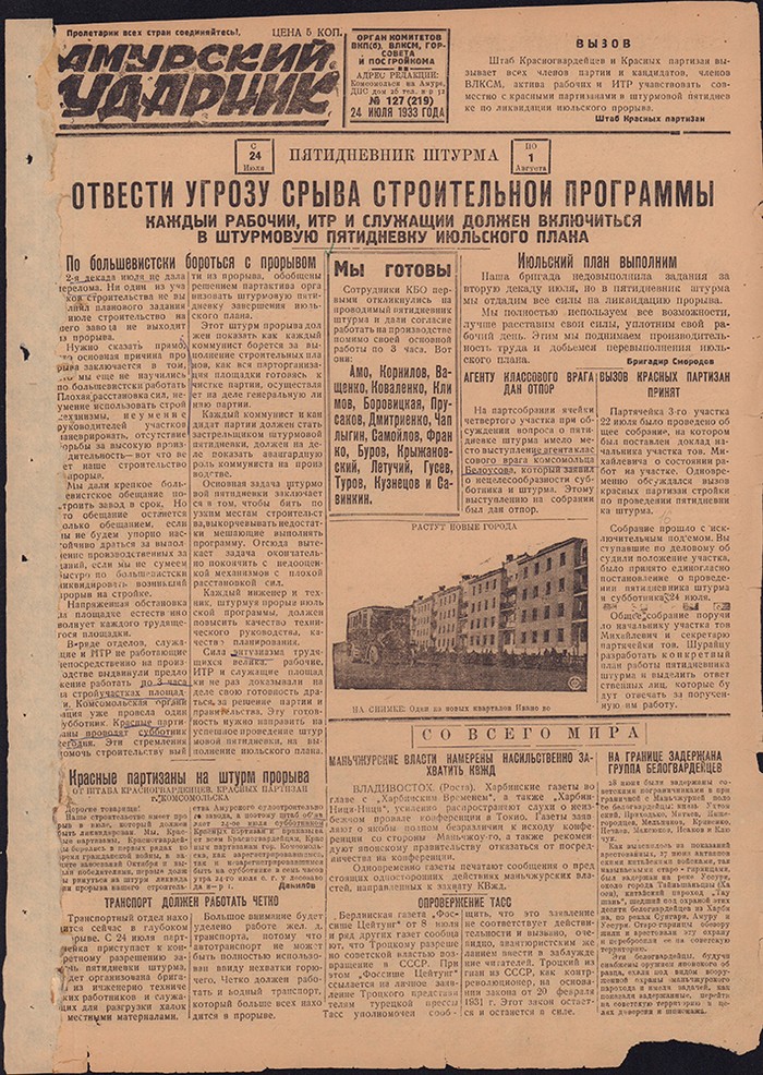 Амурский ударник 219