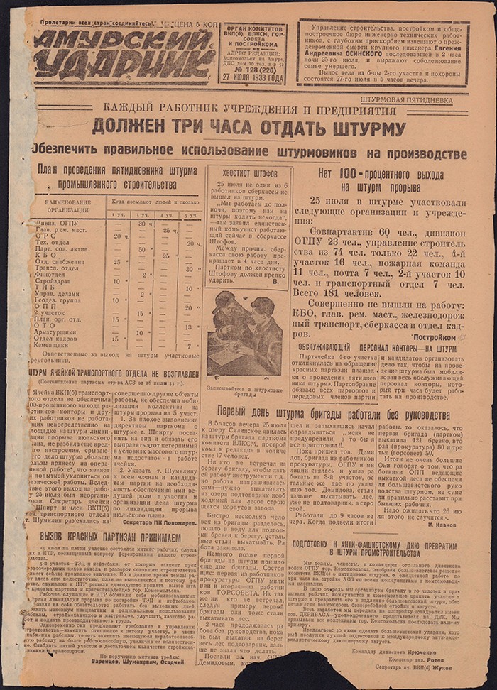 Амурский ударник 220