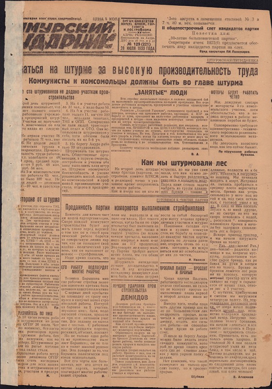Амурский ударник 221
