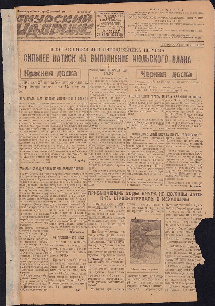 Амурский ударник 222