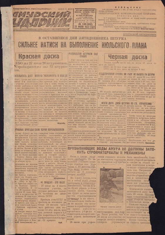 Амурский ударник 222