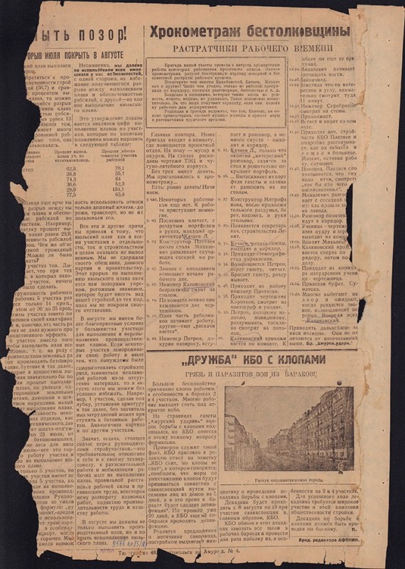 Амурский ударник 226