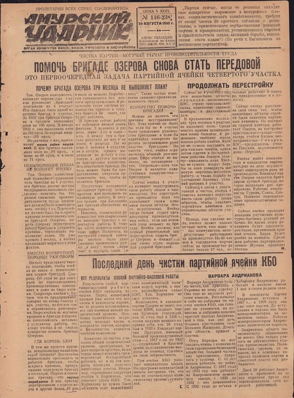 Амурский ударник 238