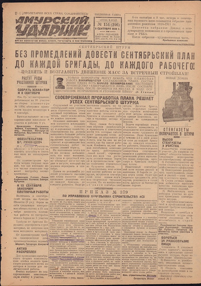 Амурский ударник 246