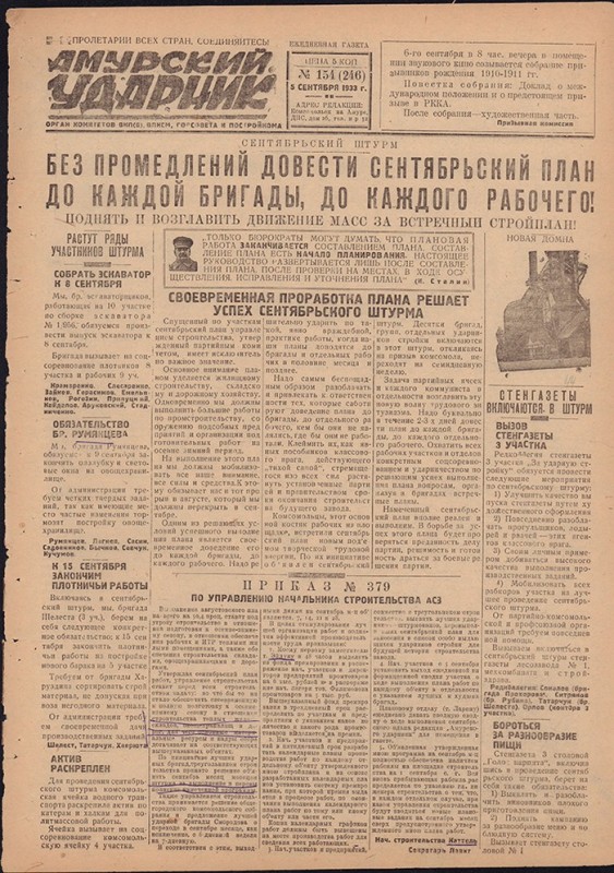 Амурский ударник 246