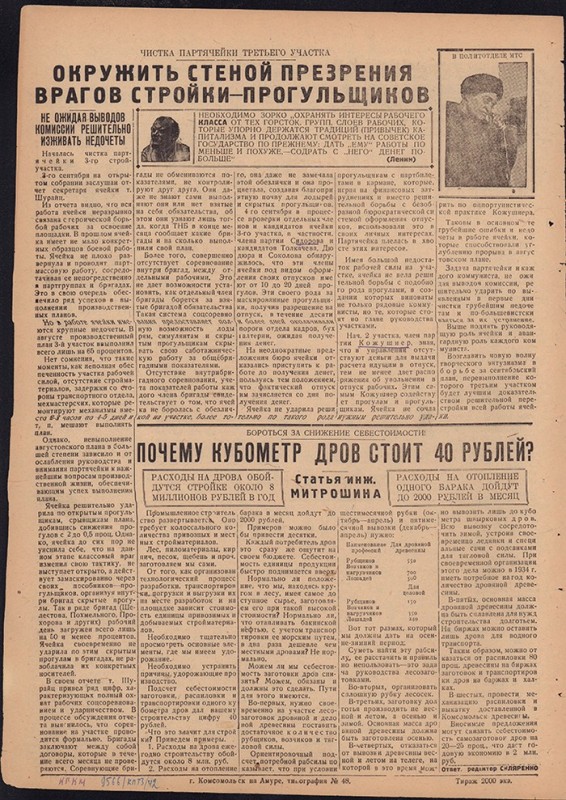Амурский ударник 248