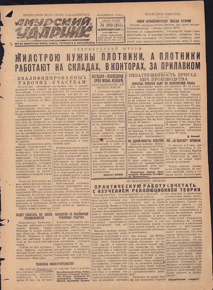 Амурский ударник 255