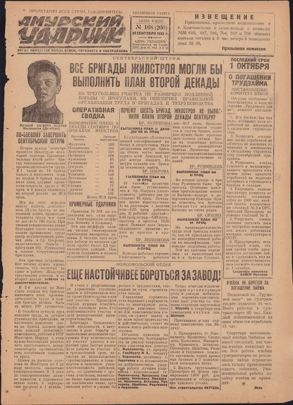Амурский ударник 260