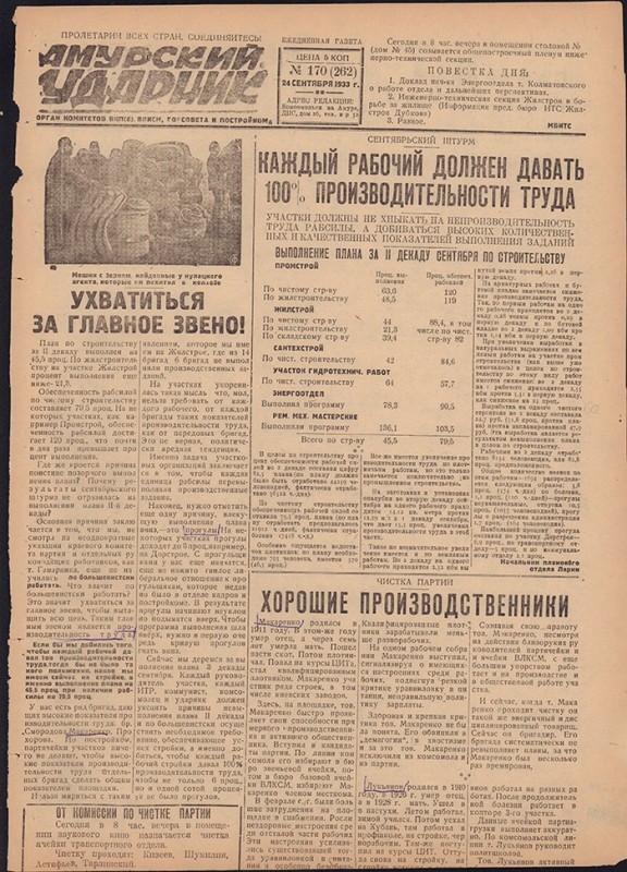 Амурский ударник 262