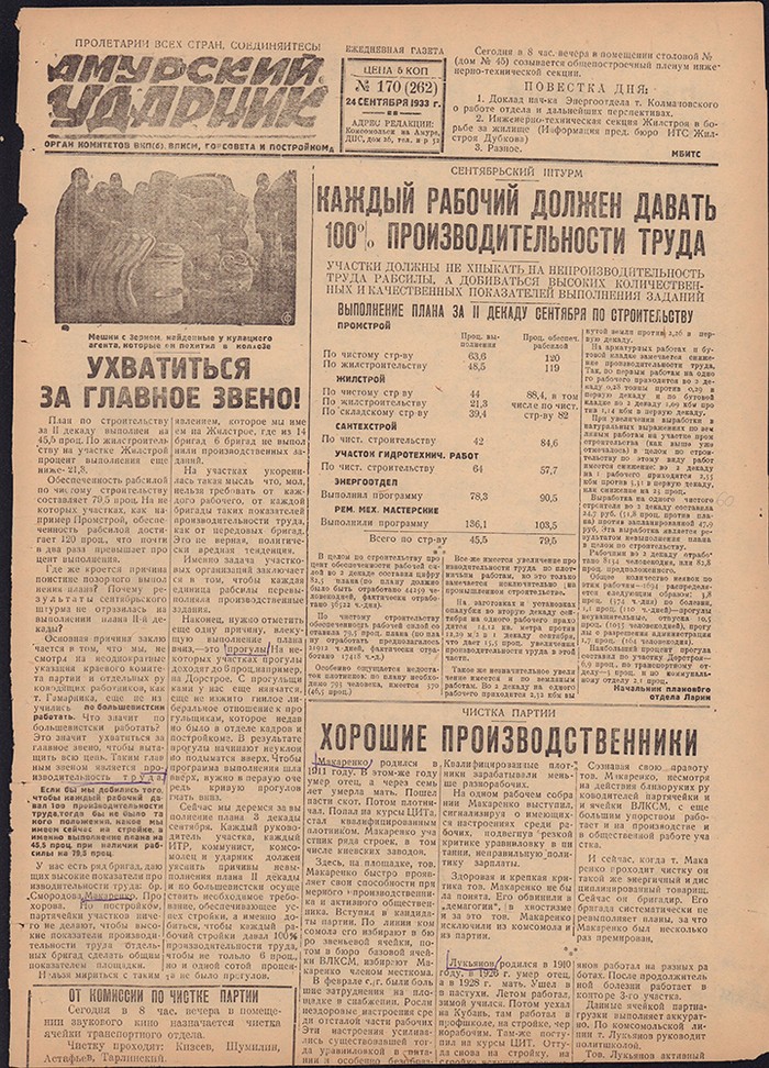 Амурский ударник 262