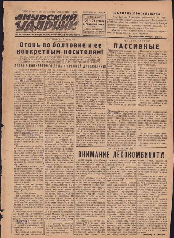 Амурский ударник 263