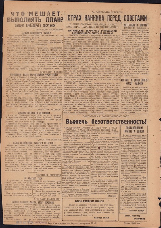 Амурский ударник 263