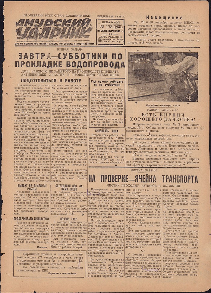 Амурский ударник 265