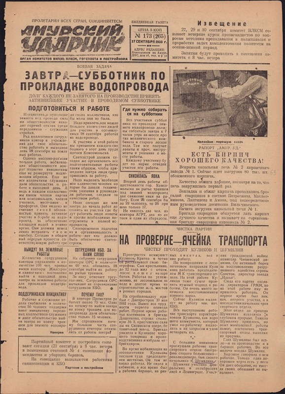 Амурский ударник 265