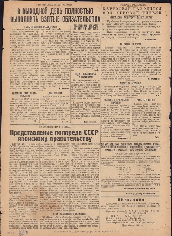 Амурский ударник 272