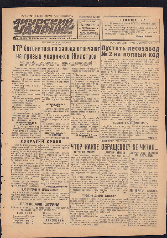 Амурский ударник 273