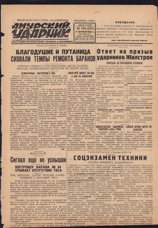 Амурский ударник 275