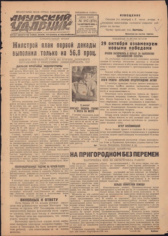Амурский ударник 279