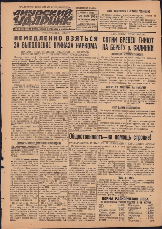 Амурский ударник 281