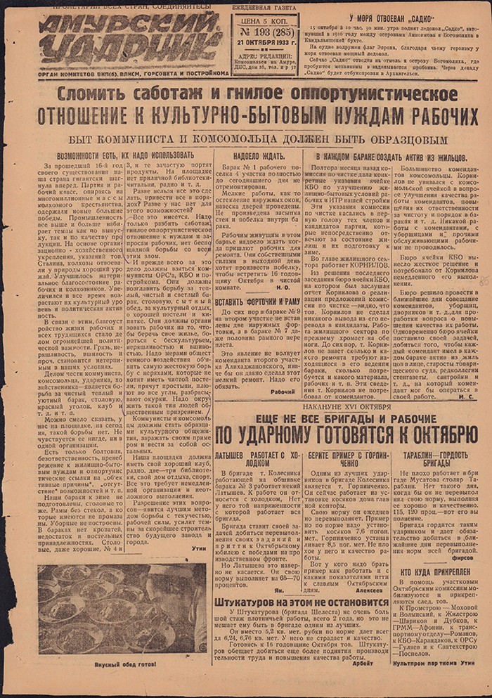 Амурский ударник 285