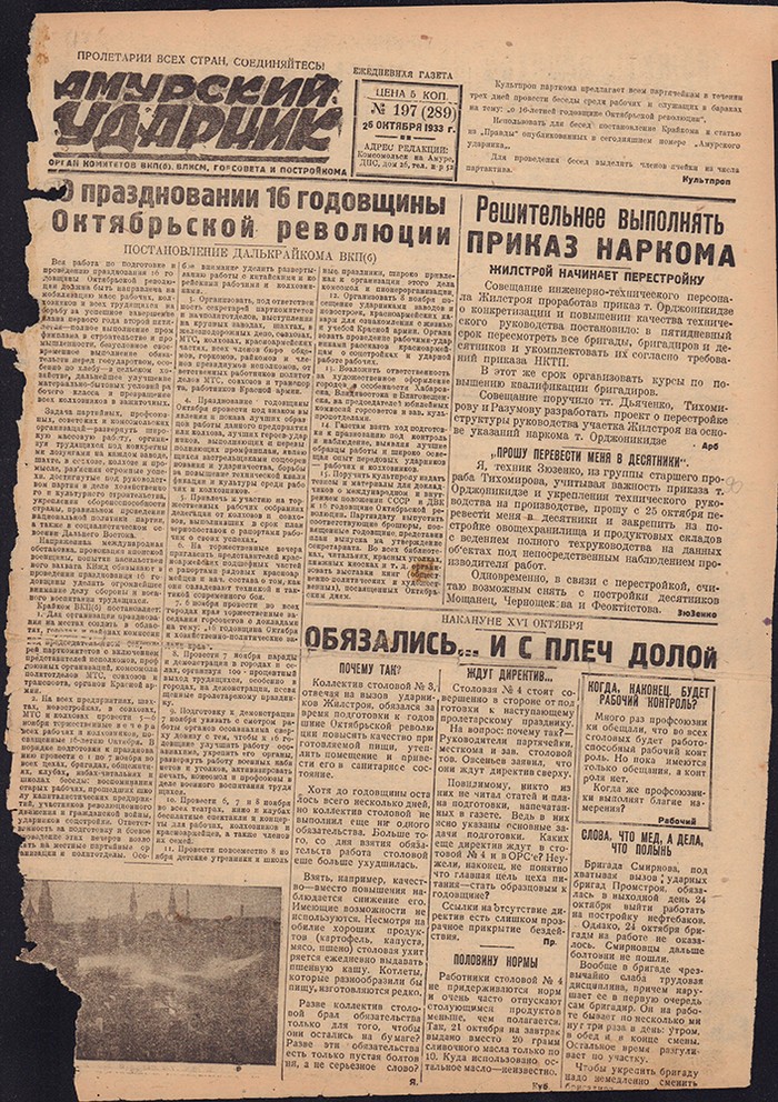 Амурский ударник 289