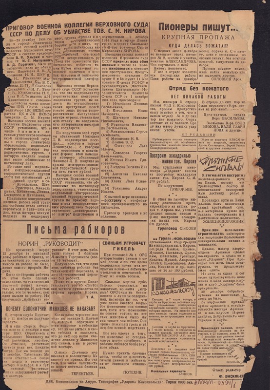 Ударник Комсомольска 650