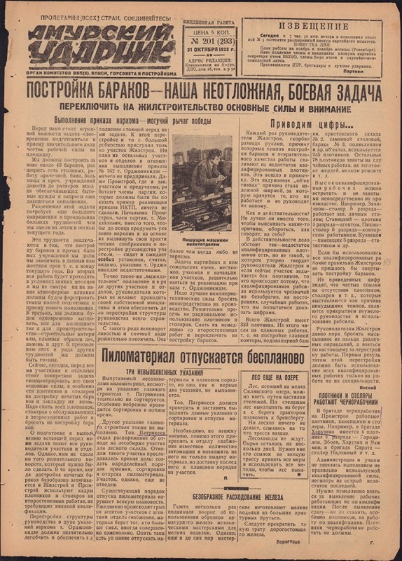 Амурский ударник 293