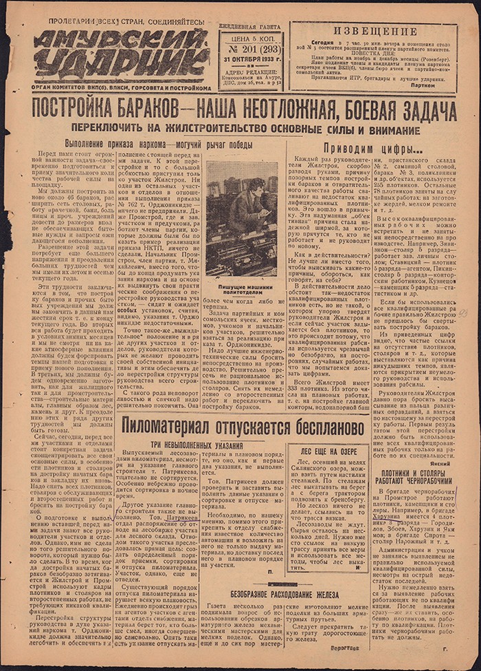 Амурский ударник 293