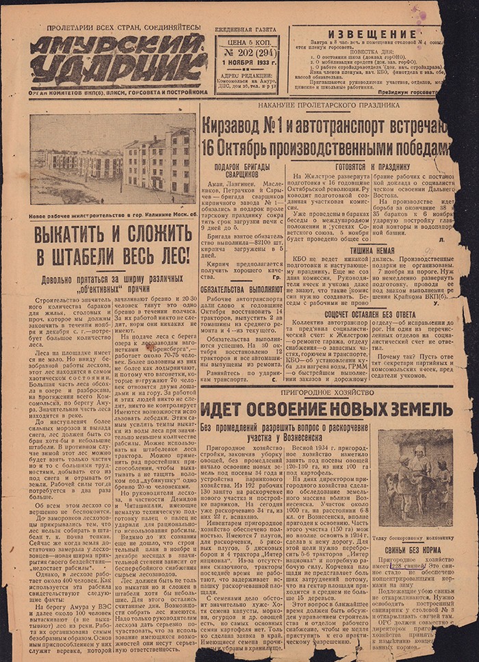 Амурский ударник 294