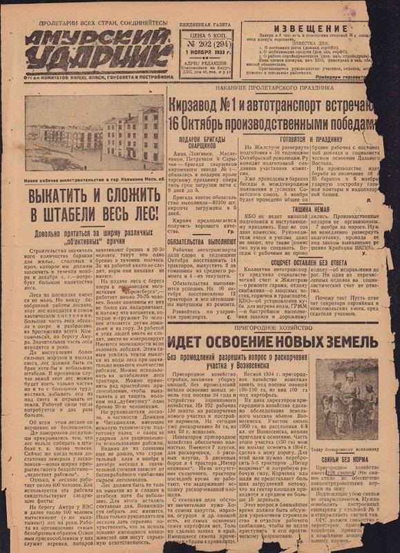 Амурский ударник 294