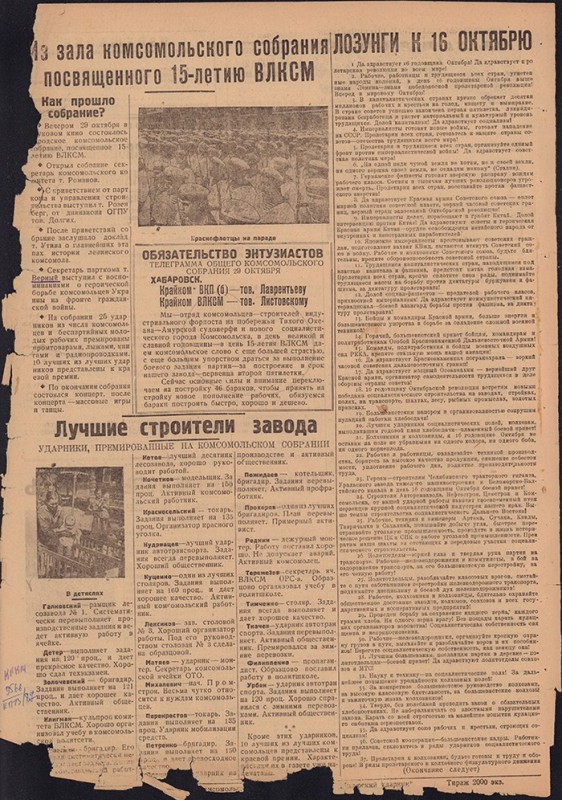 Амурский ударник 294