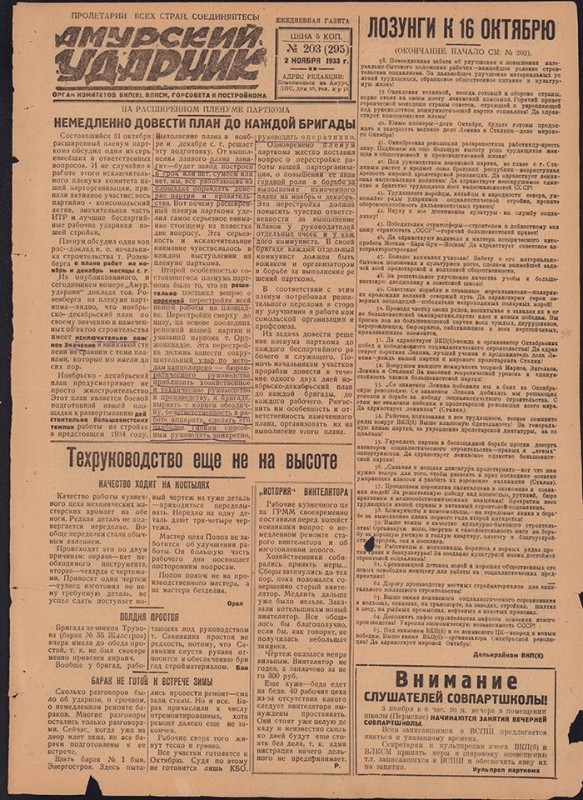 Амурский ударник 295