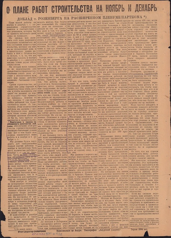 Амурский ударник 295