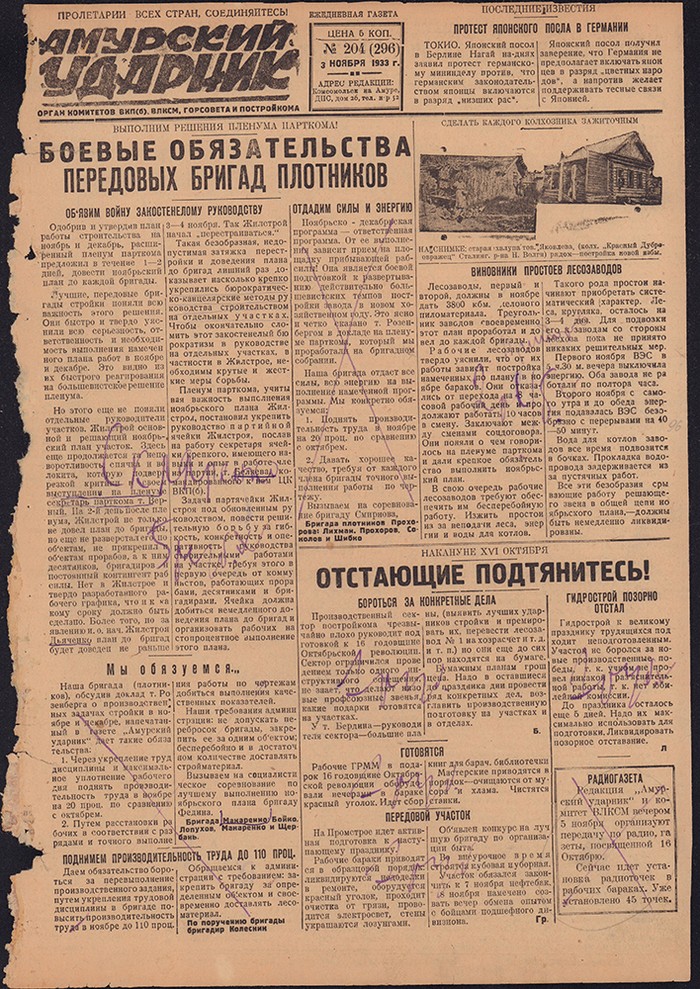 Амурский ударник 296