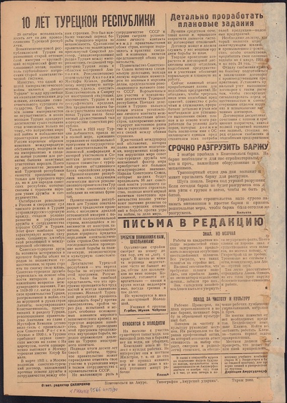Амурский ударник 297