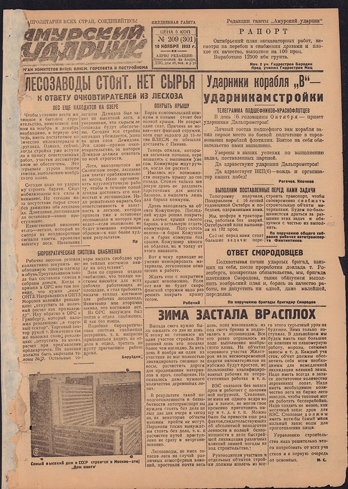 Амурский ударник 301