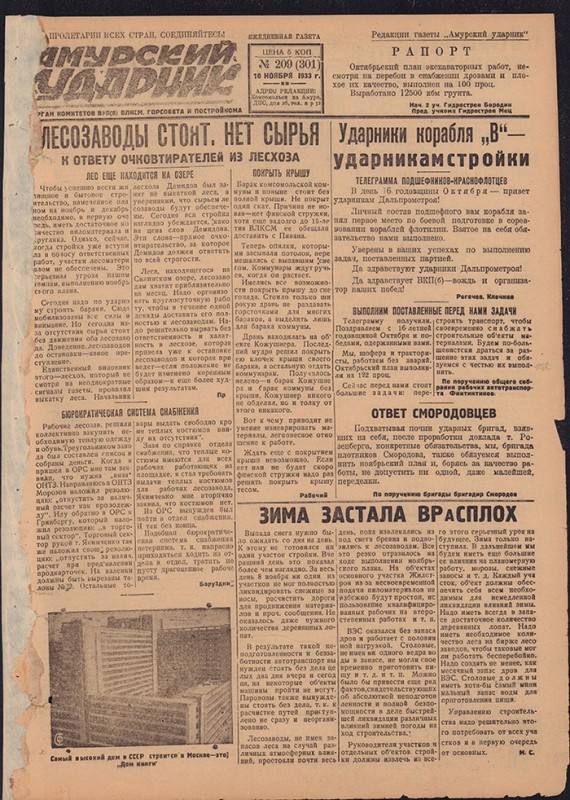 Амурский ударник 301