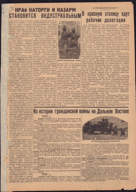Амурский ударник 301