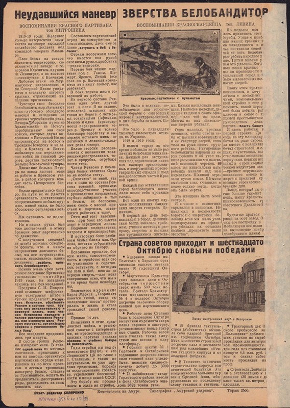 Амурский ударник 301