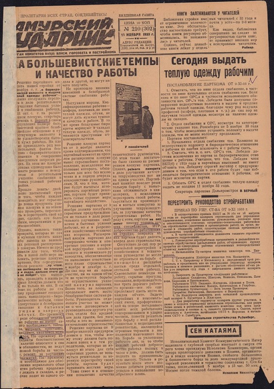 Амурский ударник 302
