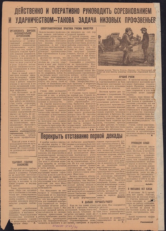 Амурский ударник 302
