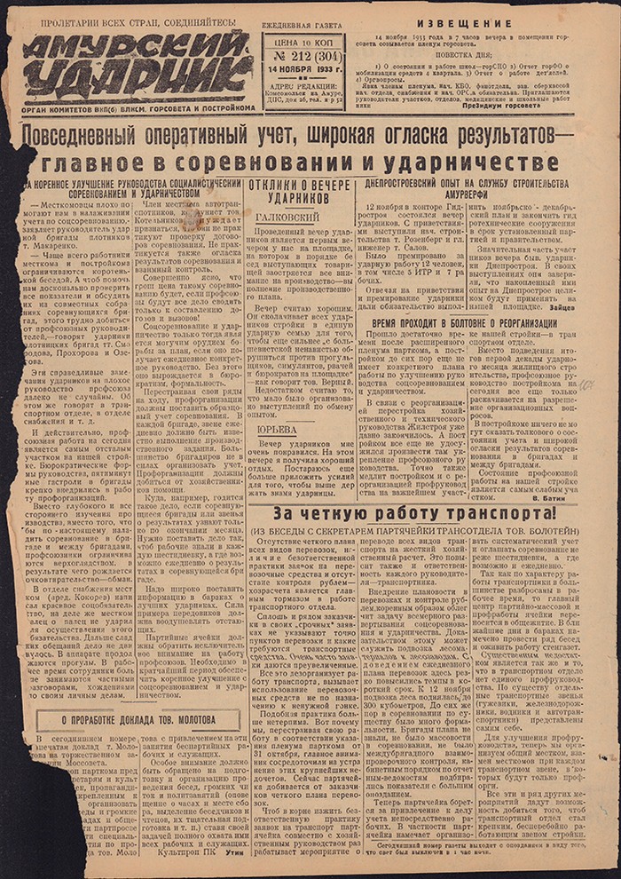 Амурский ударник 304
