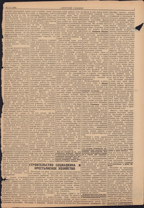 Амурский ударник 304