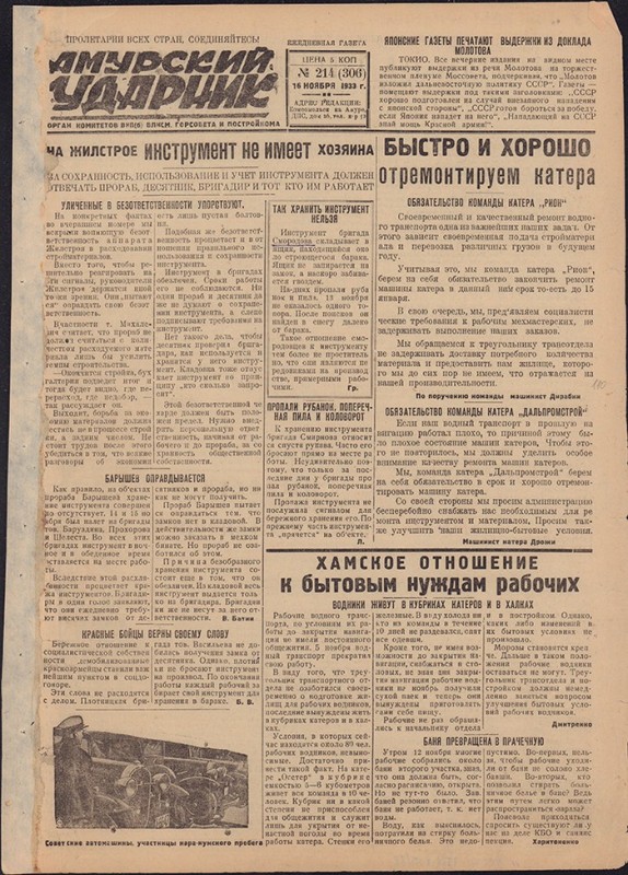 Амурский ударник 306