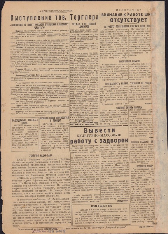 Амурский ударник 306