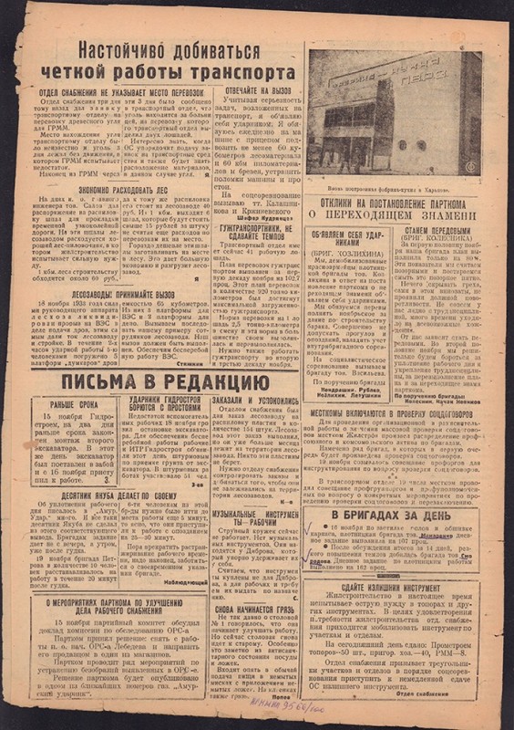 Амурский ударник 309