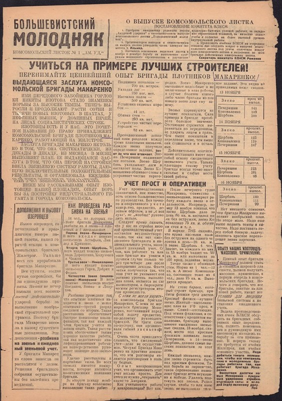 Амурский ударник 309